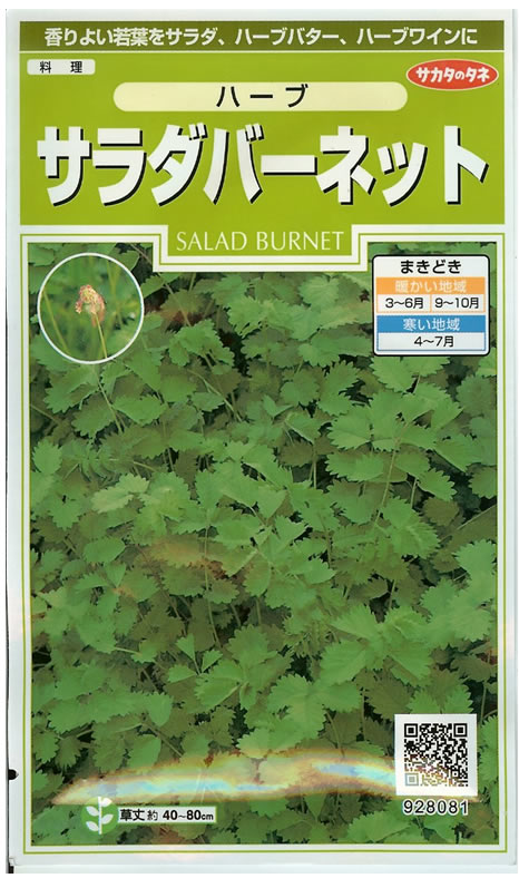 香りよい若葉をサラダ、ハーブバター、ハーブワインに メーカー：サカタのタネ 【特徴】　 寒さに強く、土質を選ばず、とてもつくりやすい多年草で、 冬でも新鮮な若い葉を利用できます。 昔は傷薬として利用されていたこともありました。