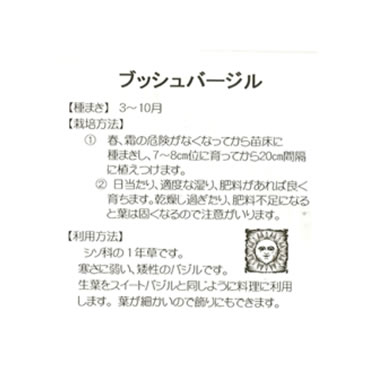 ハーブ種【　ブッシュバジル ピコ　】藤田種子