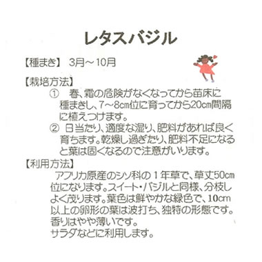 �ϡ��ּ�ڡ�����Х��롡��ƣ�ļ��