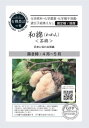 有機種子【 和綿(わめん)/ 茶綿 】小袋 (栽培用 種子 ワタ わた 花の種)