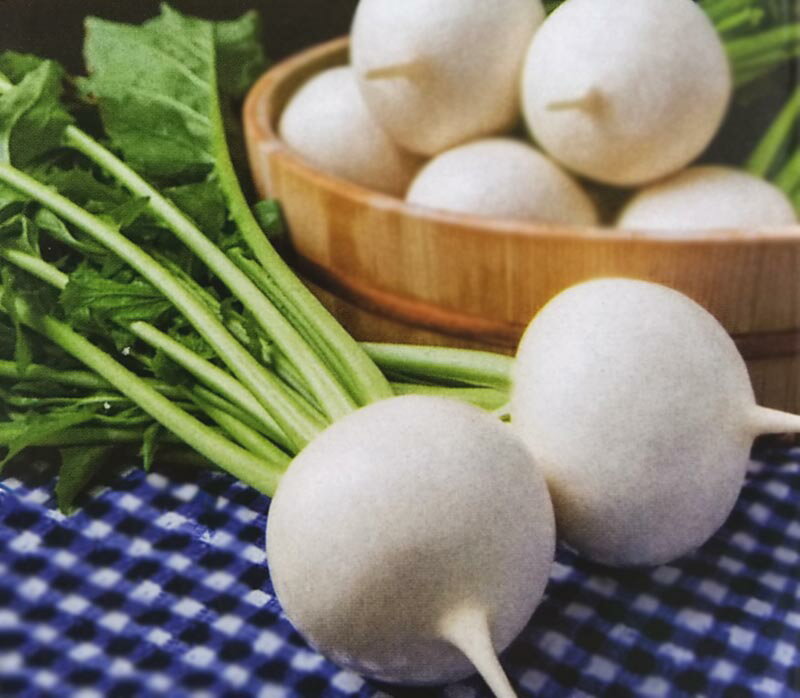 カブ種【　耐病ひかり　】RF小袋 （栽培用 種子 かぶ 蕪 タキイ）