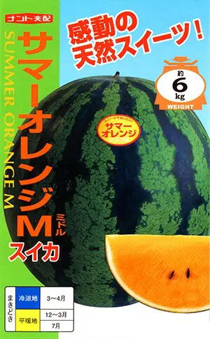 小袋・200粒 大玉スイカ種 【 サマーオレンジミドル 】ナント種苗