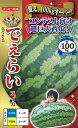 ※発芽率保証期限9月末まで大玉スイカ種 【 でぇらい 】ナント種苗