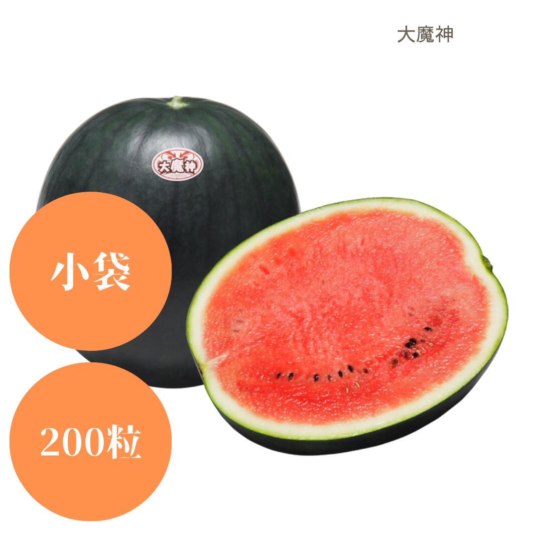 〈小袋・200粒〉大玉スイカ種 【　大魔神　】大和農園
