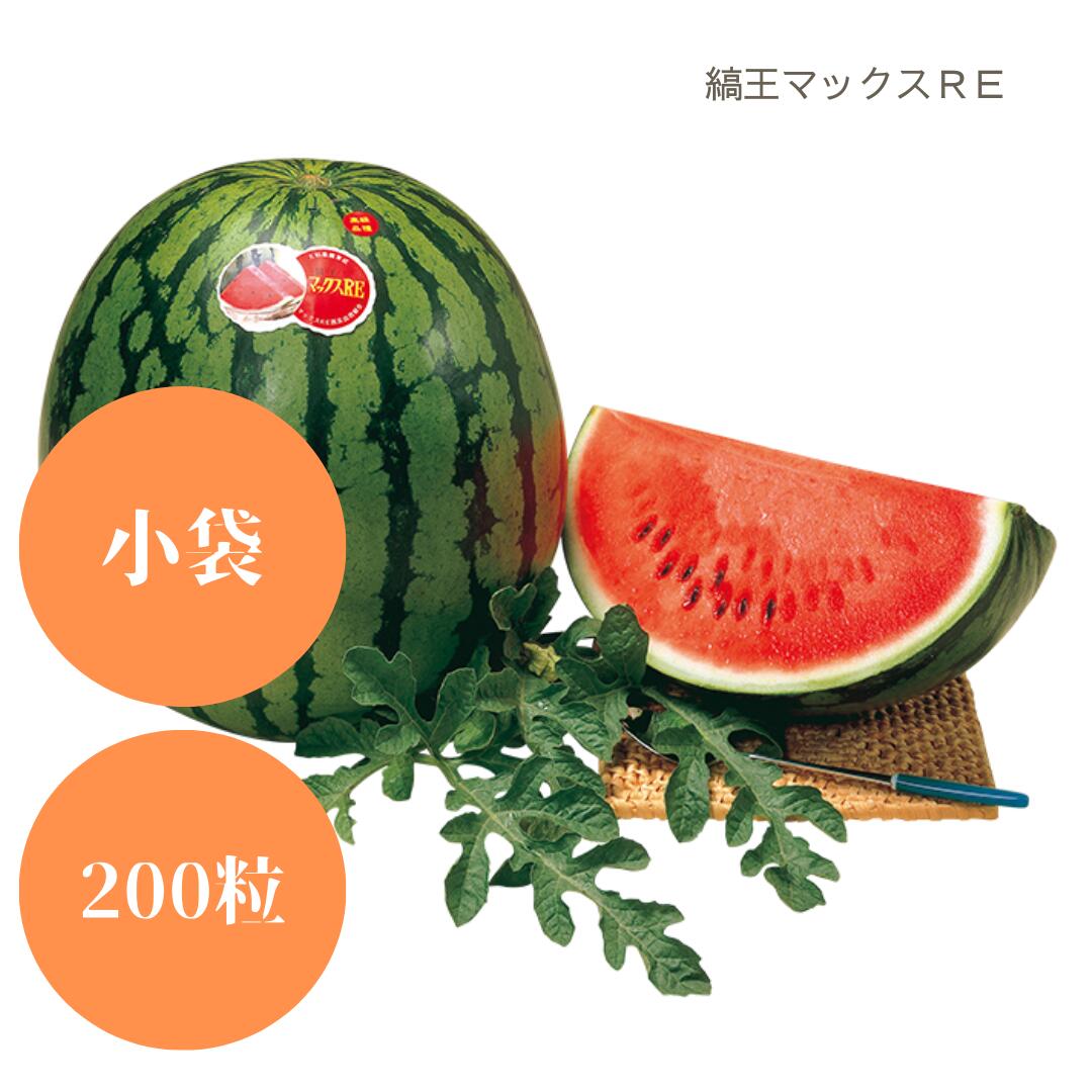 〈小袋・200粒〉大玉スイカ種 【　縞王マックスRE　】大和農園