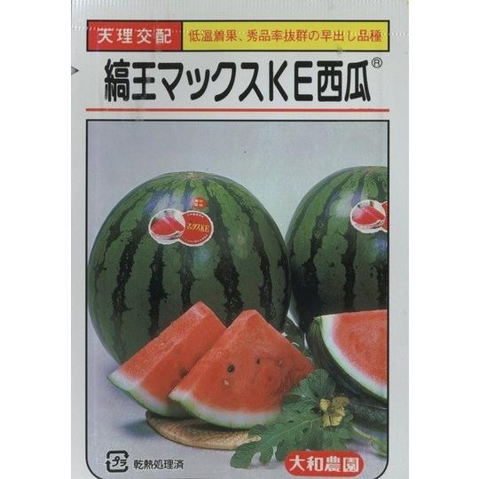 〈小袋・200粒〉大玉スイカ種 【　縞王マックスKE　】大和農園