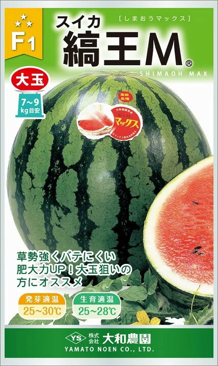 〈小袋・200粒〉大玉スイカ種 【　縞王M(マックス)　】大和農園のサムネイル
