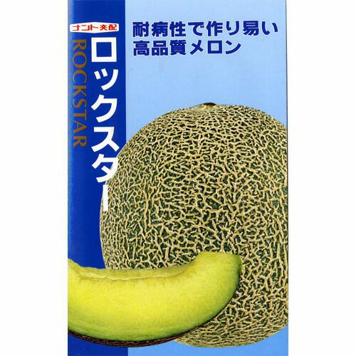 メロン種【 ロックスター 】ナント種苗