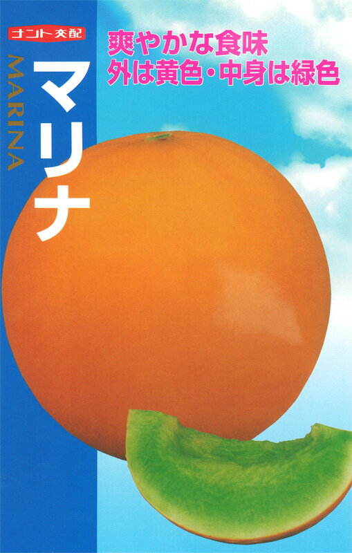 ※新種11月以降入荷予定メロン種【　マリナ　】ナント種苗