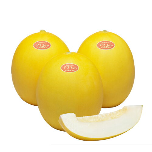 メロン種【　F1アスコット　】（栽培用 種子　大和農園）
