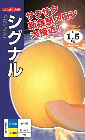 メーカー：ナント種苗 【特性】 ・果実は1.5kg前後の高球～短楕円となる。 ・果皮は鮮やかな濃黄色となり、肉色は淡赤橙色となる。 ・肉質はシャリシャリして歯切れ良く美味しい。 ・糖度は17～18度前後と極めて高いがさわやかな甘さである。 ...