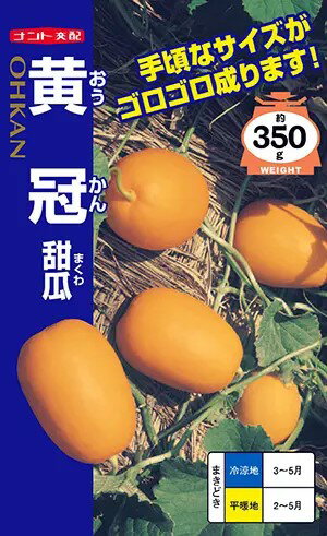 〈小袋・20ml袋〉メロン種ナント種苗