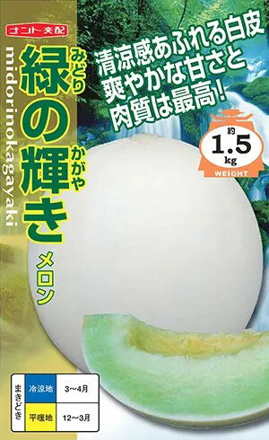 〈小袋・100粒〉メロン種【　緑の輝き　】ナント種苗