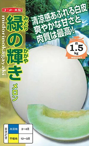 〈小袋・100粒〉メロン種【 緑の輝き 】ナント種苗の商品画像