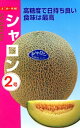 メロン種【 シャロン2号 】ナント種苗(4)