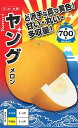 ※発芽保証有効期限8月末まで※メロン種【 ヤング 】ナント種苗