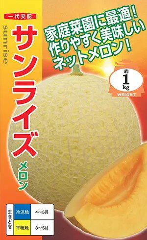 〈小袋・100粒〉メロン種【 サンライズ 】ナント種苗の商品画像