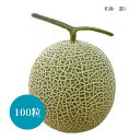 〈小袋・100粒〉メロン種【 和香夏II 】ナント種苗