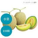 〈小袋・100粒〉メロン種【 アールスダーリン夏系 】大和農園