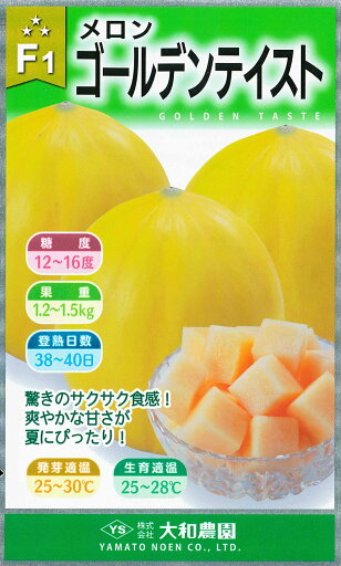 メロン種【 ゴールデンテイスト 】大和農園 メロン種【 ゴールデンテイスト 】大和農園