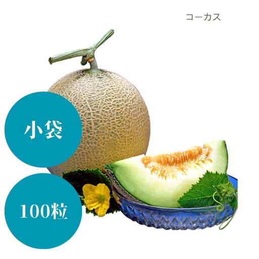 〈小袋・100粒〉メロン種【 コーカス 】大和農園 〈小袋・100粒〉メロン種【 コーカス 】大和農園