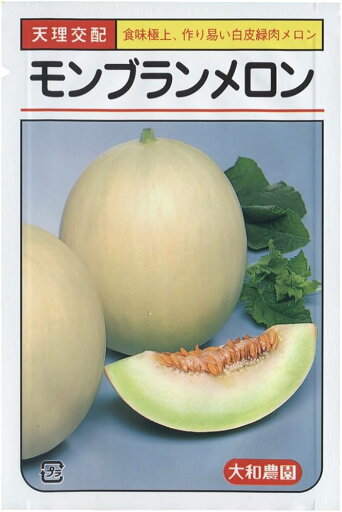 〈小袋・100粒〉メロン種【 モンブラン 】大和農園 〈小袋・100粒〉メロン種【 モンブラン 】大和農園