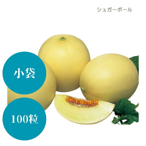 〈小袋・100粒〉メロン種【 シュガーボール 】大和農園 〈小袋・100粒〉メロン種【 シュガーボール 】大和農園