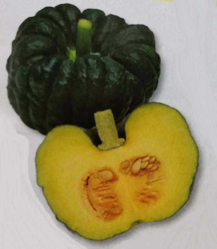 樂天商城 - カボチャ種【　はやと　】100粒 （栽培用 種子 かぼちゃ 南瓜 生産者向け タキイ）