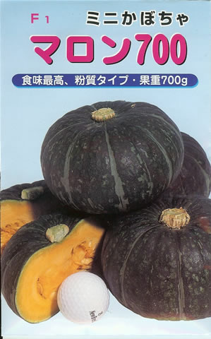 樂天商城 - ミニカボチャ種【　マロン700　】小袋（栽培用 種子 かぼちゃ 南瓜 宝）