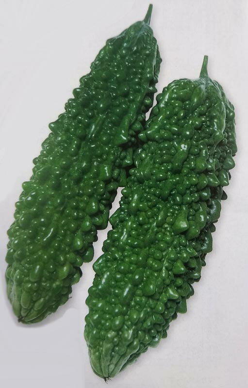 ゴーヤ種【　島さんご　】GF小袋 （栽培用 種子 苦瓜 ニガウリ れいし レイシ タキイ）のサムネイル