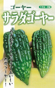 ゴーヤー種【　サラダゴーヤー　】（栽培用 種子 フタバ種苗）