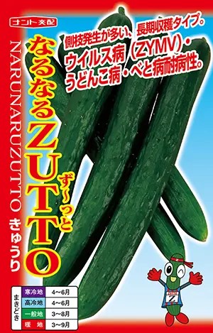 樂天商城 - キュウリ種【　なるなるZUTTO　】ナント種苗