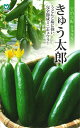 キュウリ種【 きゅう太郎 】(栽培用 種子 丸種 )