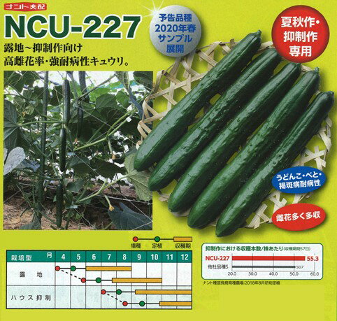 〈350粒〉キュウリ種【　NCU-227　】ナント種苗