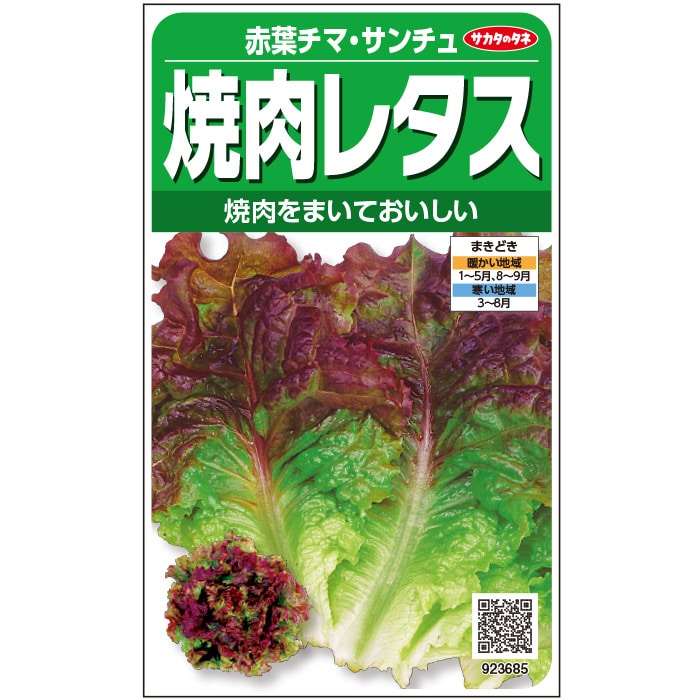 樂天商城 - レタス種【　赤葉チマ・サンチュ　】実咲小袋（栽培用 種子 チシャ 苣 リーフレタス）サカタのタネ