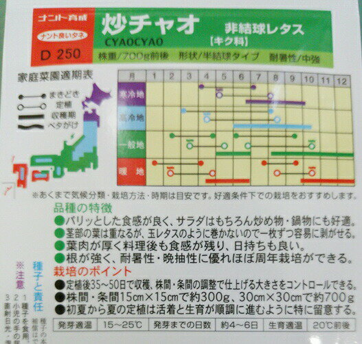 レタス種【　炒チャオ（ちゃおちゃお）】 小袋 （栽培用 種子 チシャ 苣 ナント）