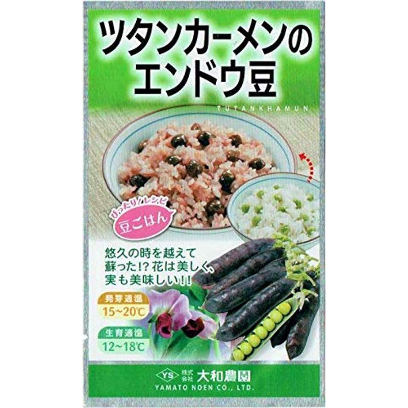〈小袋・1dL・1L〉エンドウ種【　ツタンカーメンのエンドウ豆　】大和農園のサムネイル