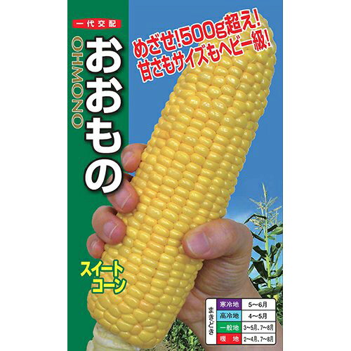 〈小袋・200粒・2000粒〉トウモロコシ種【　おおもの　】ナント種苗のサムネイル