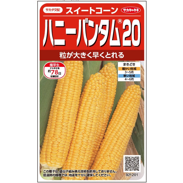 ※新種2025年1月下旬入荷後発送＜実咲小袋・200粒・2000粒＞ トウモロコシ種【　ハニーバンタム20　】　サカタのタネのサムネイル