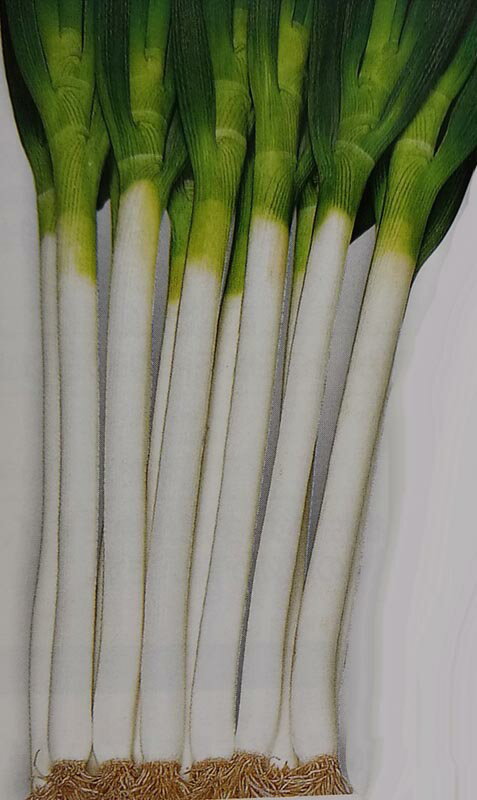 �Ҿ��ޡ�1dL��������5000γ�ӥͥ���ڡ�F1�򱩰��������ۥȡ��ۥ�����