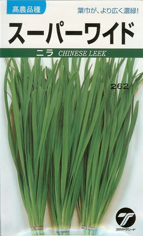 ニラ葱種【　スーパーワイド　】6ml （栽培用 種子 にら 韮 タカヤマ）