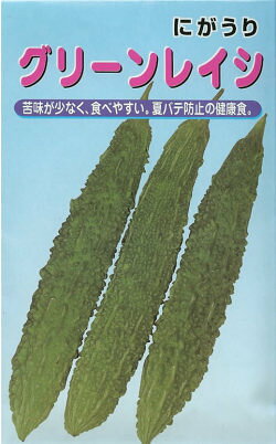 樂天商城 - ゴーヤ種【　グリーンレイシ　】小袋（苦瓜 ニガウリ れいし レイシ 宝）
