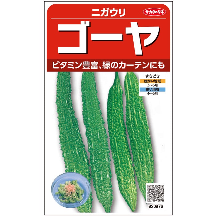 ※新種12月中旬以降入荷予定ニガウリ種【　ゴーヤ　】　サカタのタネ