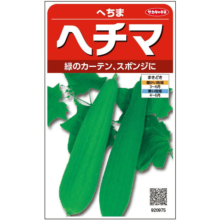楽天市場】ヘチマ へちま（ガーデニング・農業｜花・ガーデン・DIY）の通販
