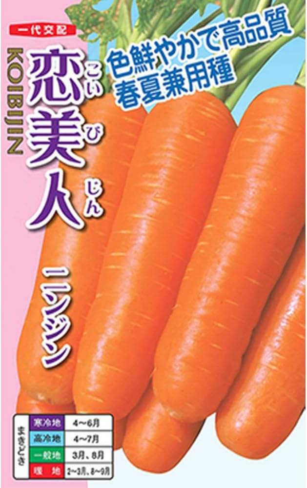ニンジン種【　恋美人　】 （栽培用 種子 人参 にんじん ナント）