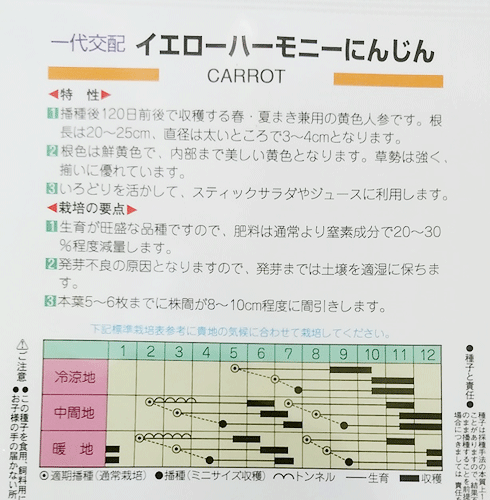 ニンジン種【　イエローハーモニー　】260粒 （栽培用 種子 人参 にんじん 丸種）
