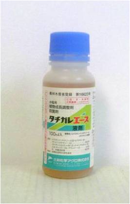 殺菌剤【　タチガレエースM液剤　】100ml