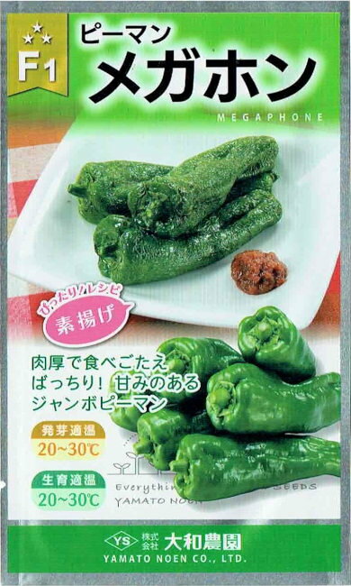 肉厚で食べごたえばっちり！甘みのあるジャンボピーマン メーカー：大和農園 【特性】 ●5寸人参サイズの中早生肉厚多収ピーマン。 ●果実は100～120g、長さ15cm位の長筒型。 ●完熟果は赤色となり、カラーピーマンとしても使用できる。