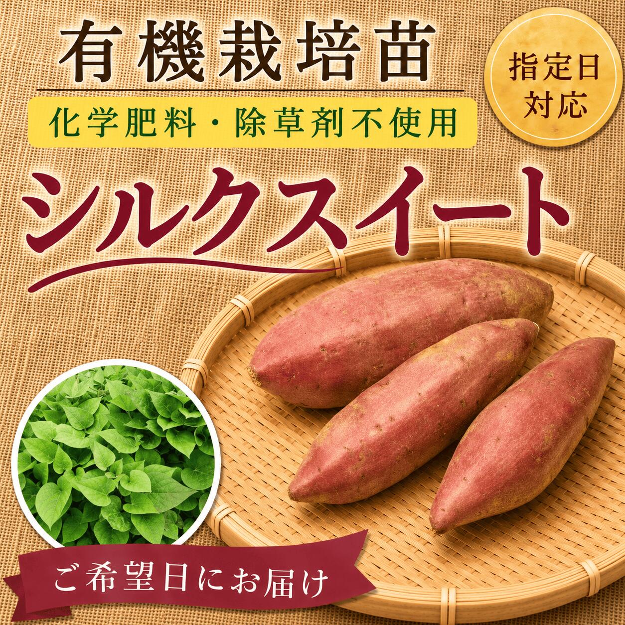 スーパーSALE対象商品【お届け日指定OK】【予約販売】【有機栽培】サツマイモ苗 シ...