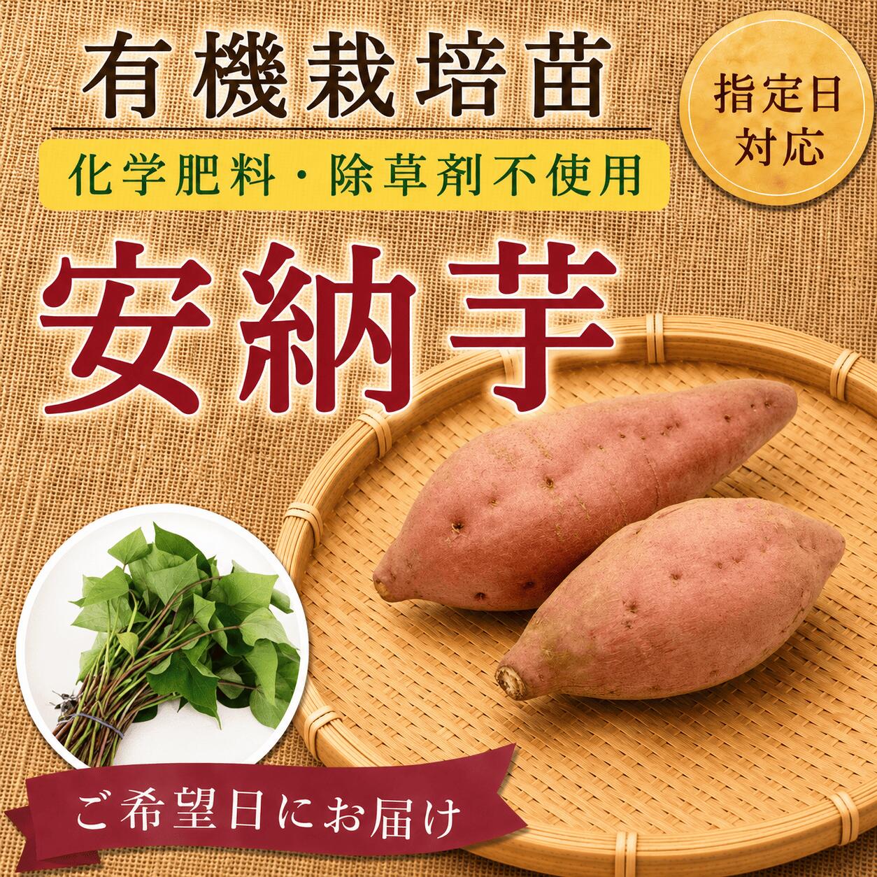 乐天商城 - 【お届け日指定OK】【予約販売】【有機栽培】サツマイモ苗 安納芋 紅皮（切り苗）濃厚な甘みとねっとり食感が魅力の蜜芋。家庭菜園を楽しめます。さつまいも苗 あんのういも 焼き芋 登録品種 野菜苗 園芸 農業 蜜いも 春植え